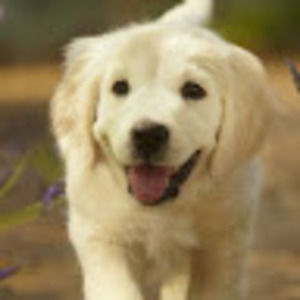 Meet your Posher, Carissa